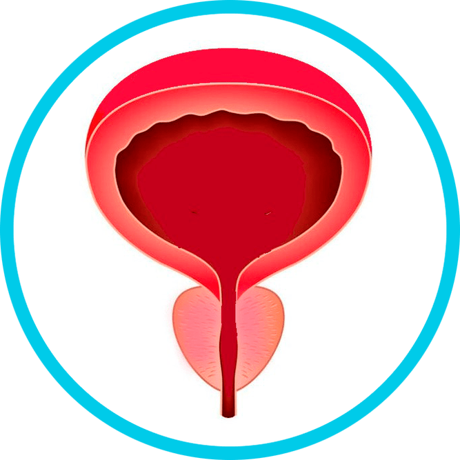 Prostatīta profilakse